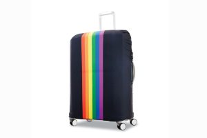 Samsonite Luggage Cover